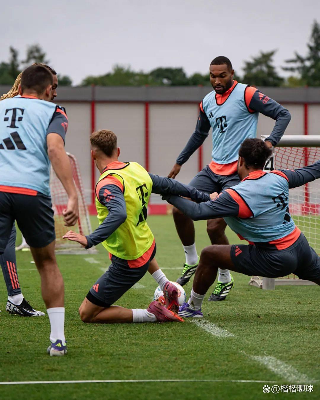 德甲倒计时，拉齐奥国际比赛日再遭质疑，细节引发关注，赛场秩序良好，纪律约束更严格的简单介绍