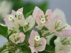 巷@s}€炦菡賫=<|